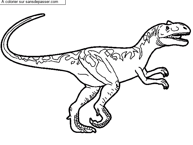 Allosaurus par un invit&eacute;