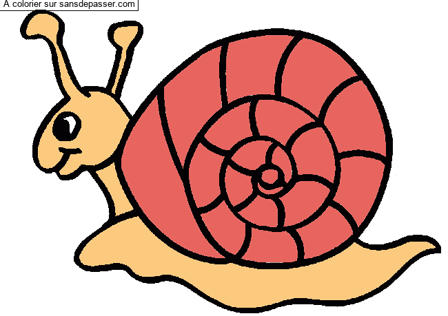 Escargot par un invit&eacute;