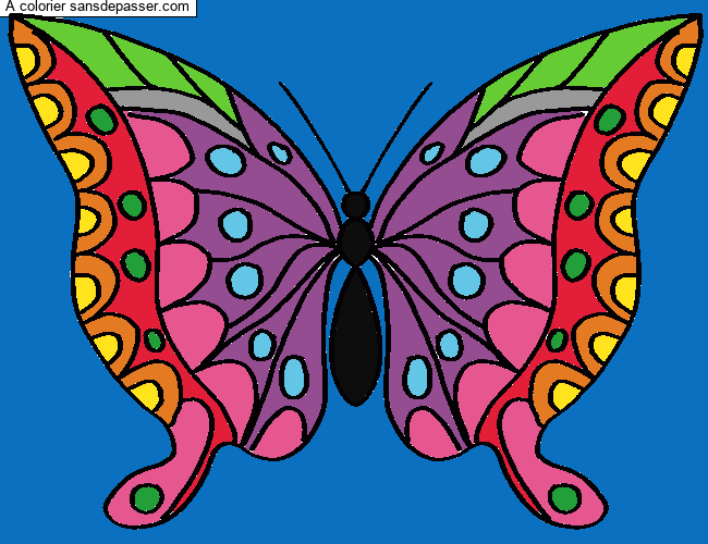 Coloriage Joli papillon par Cyrielle 34