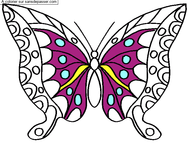 Coloriage Joli papillon