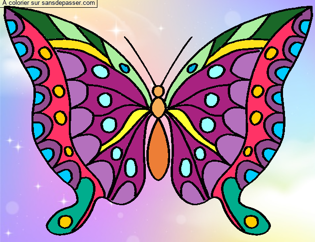 Coloriage Joli papillon par un invité
