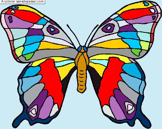 Grand papillon par Toile de Nilo