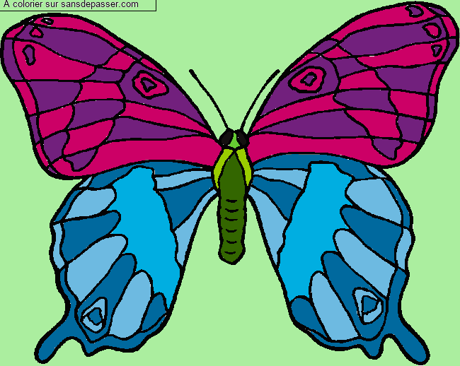 Coloriage Grand papillon par un invit&eacute;