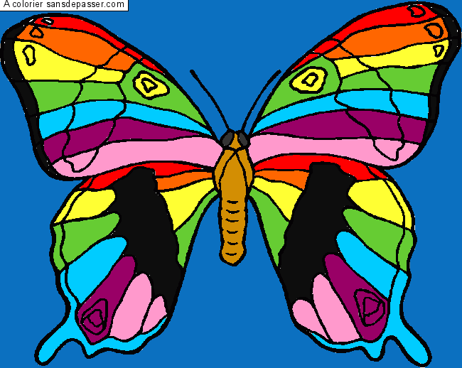 Coloriage Grand papillon par deydey97