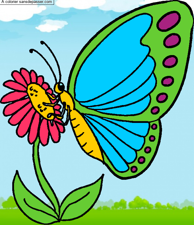 Coloriage Papillon qui butine