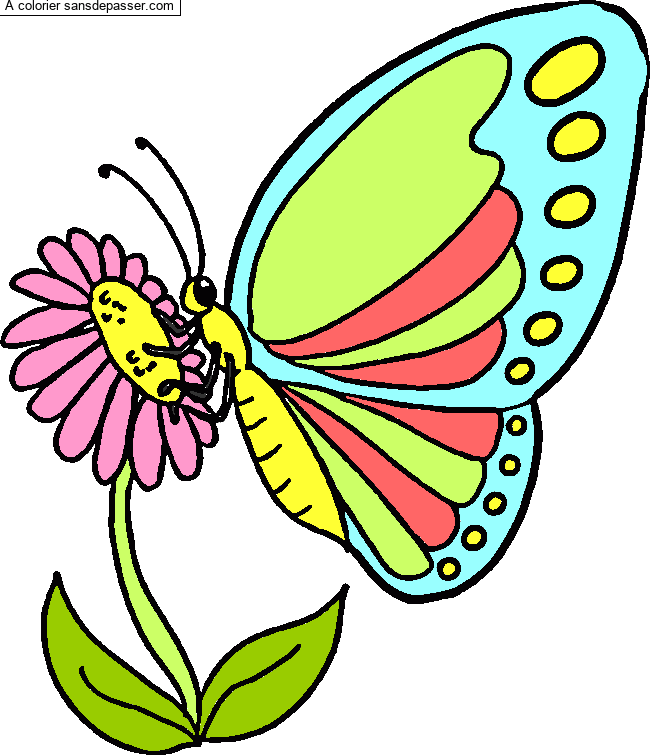 Coloriage Papillon qui butine par Loic6