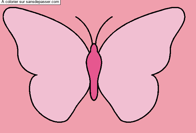 Papillon blanc par un invit&eacute;