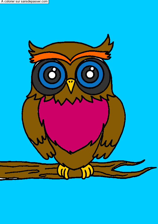 Coloriage Hibou sur sa branche par un invit&eacute;