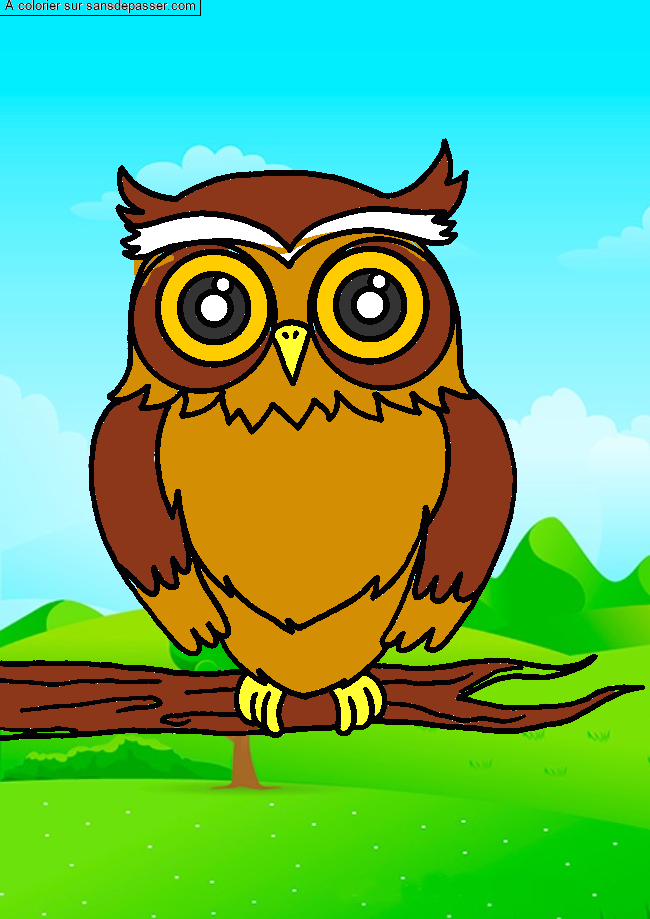 Coloriage Hibou sur sa branche par un invit&eacute;