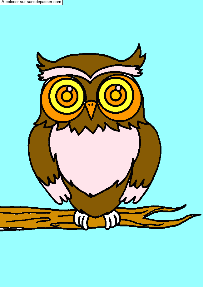 Hibou sur sa branche par un invit&eacute;