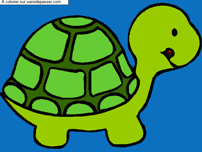 Petite tortue par un invit&eacute;