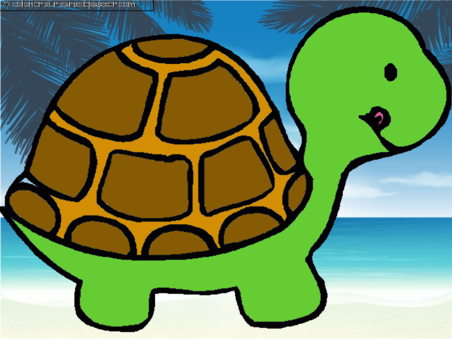 Petite tortue par un invit&eacute;