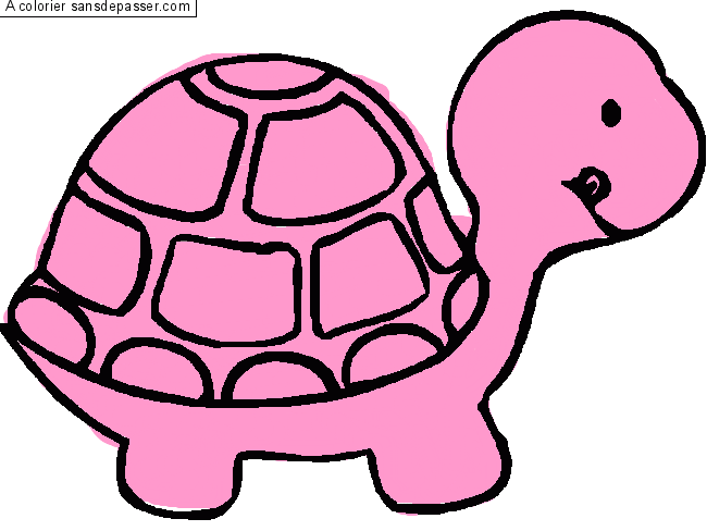 Coloriage Petite tortue