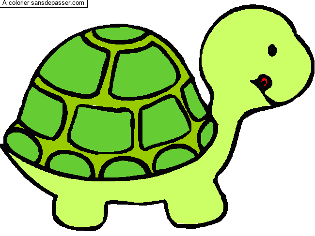 Coloriage Petite tortue