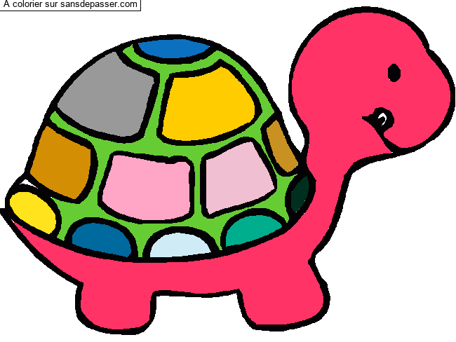 Coloriage Petite tortue par un invité
