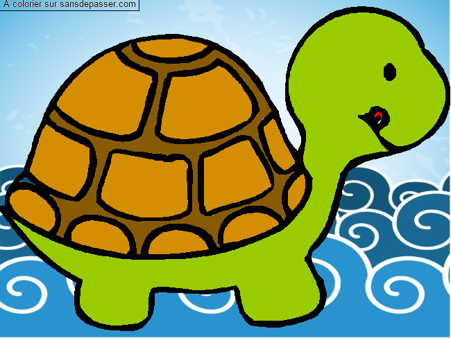 Petite tortue par un invit&eacute;