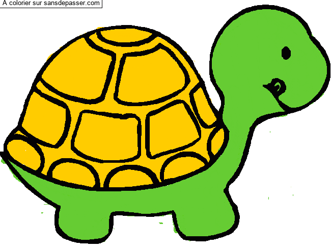Petite tortue par un invit&eacute;