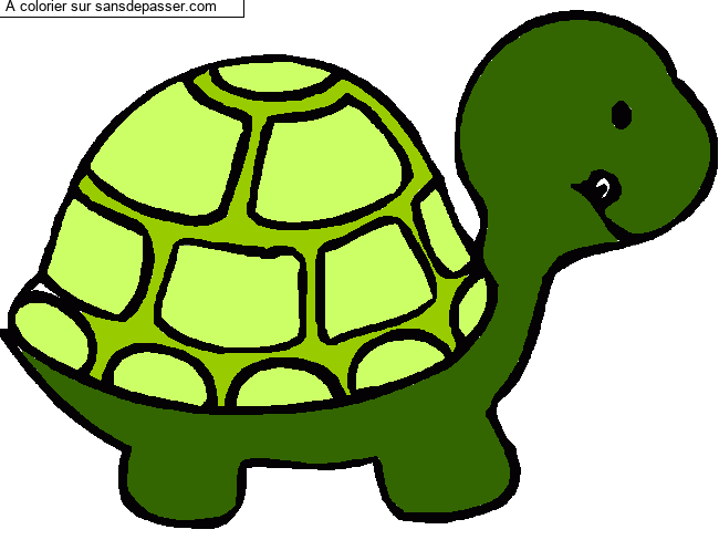 Coloriage Petite tortue par un invit&eacute;