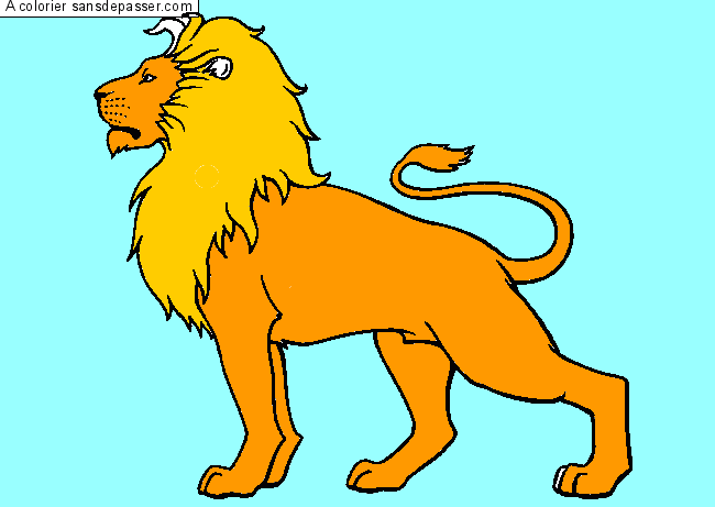 Lion majestueux par un invité