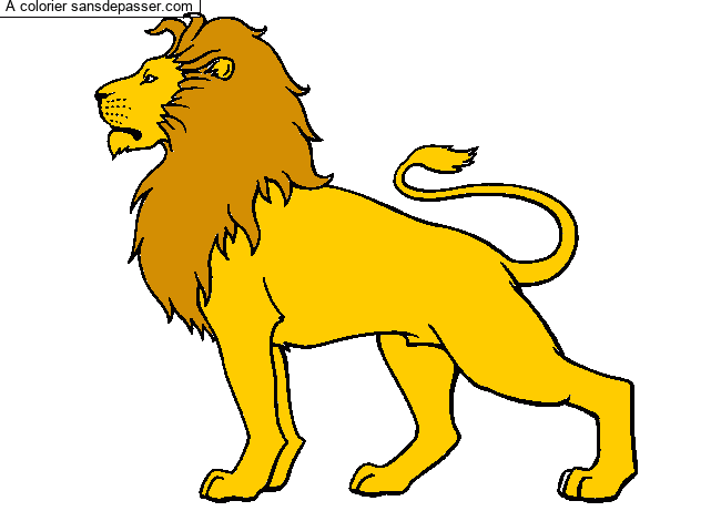 Lion majestueux par un invit&eacute;