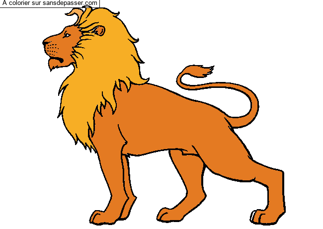 Coloriage Lion majestueux par Nono04