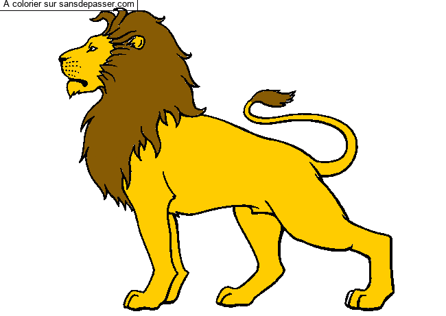 Lion majestueux par un invit&eacute;