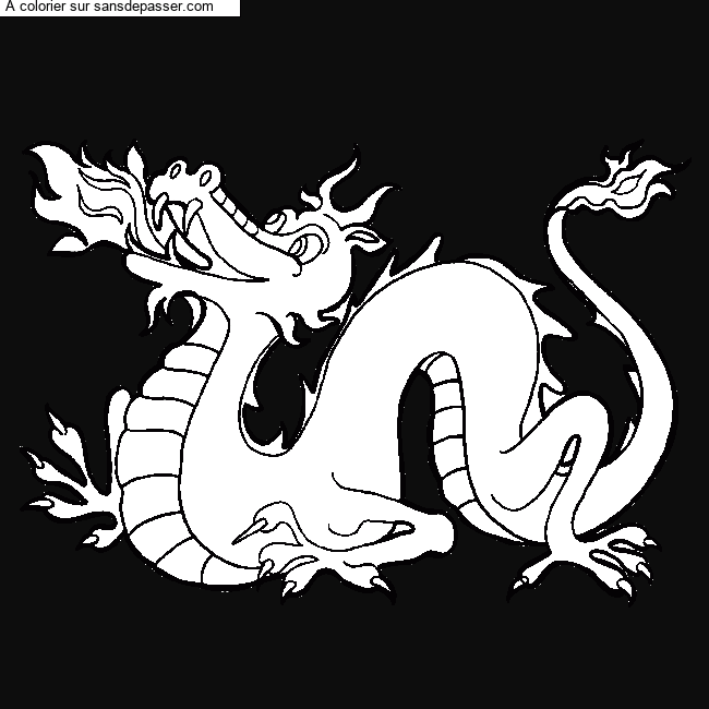 Dragon chinois par un invit&eacute;