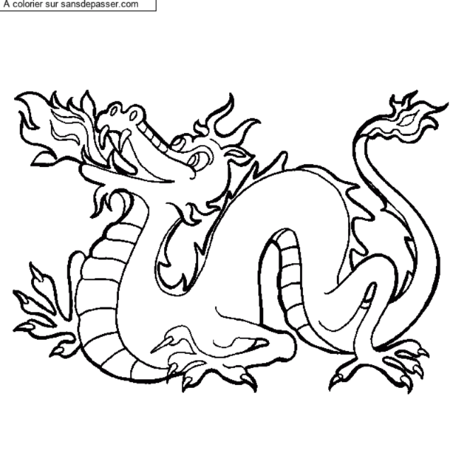 Dragon chinois par un invit&eacute;