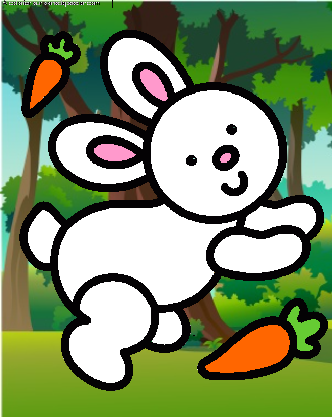 Coloriage Lapin et carotte par un invit&eacute;
