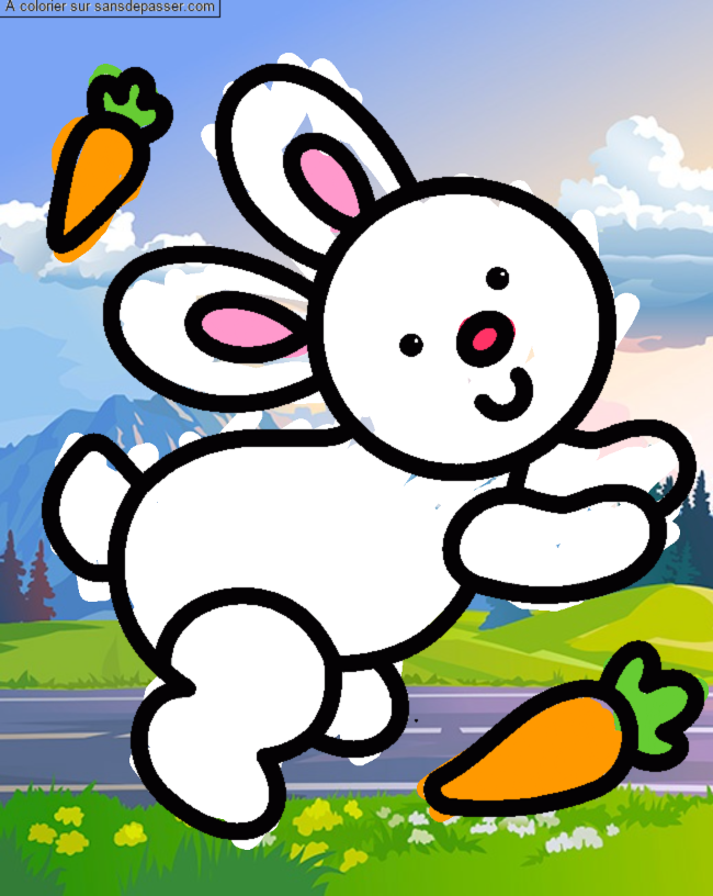 Lapin et carotte par un invit&eacute;