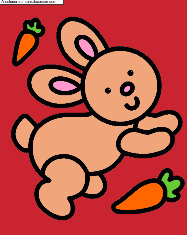 Lapin et carotte par un invit&eacute;