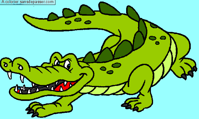 Crocodile par un invité