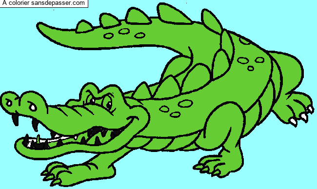 Crocodile par un invité