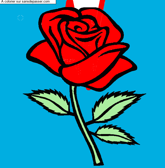Rose rouge par un invit&eacute;