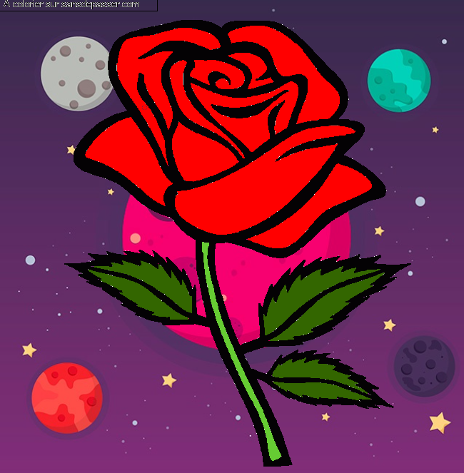Rose rouge par un invit&eacute;