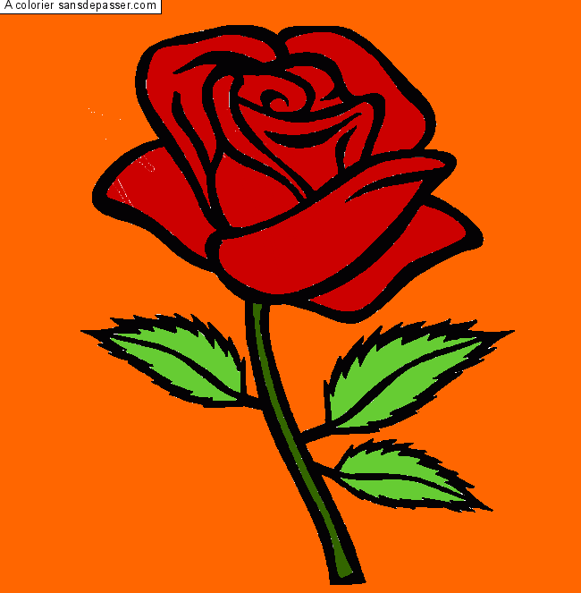 Rose rouge par un invit&eacute;