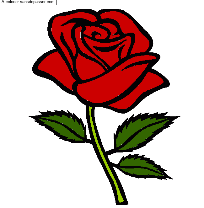 Image De Fleur Fleur Rose Dessin A Colorier 