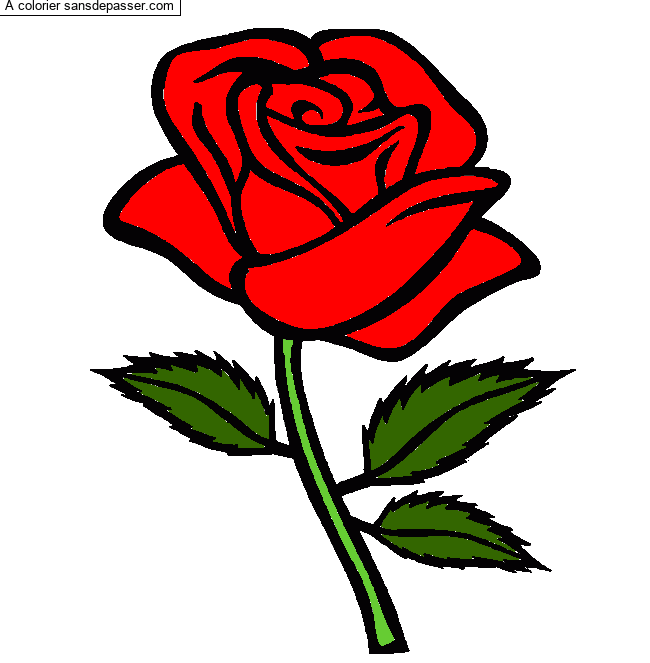 Dessin colorié : Coloriage Rose rouge par un invité - Sans Dépasser