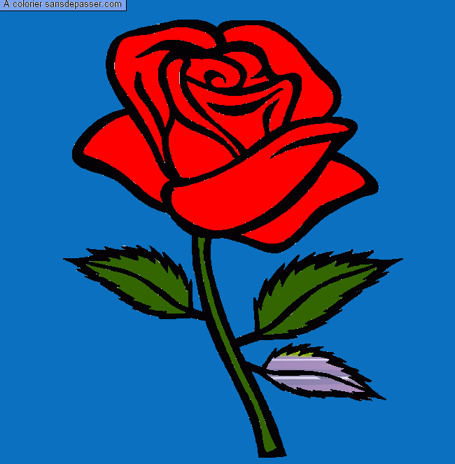 Coloriage Rose rouge