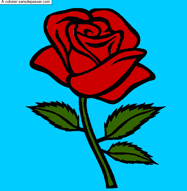 Rose rouge par un invit&eacute;