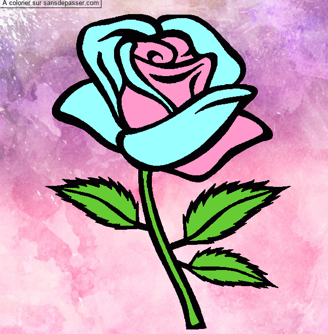 Rose rouge par un invit&eacute;