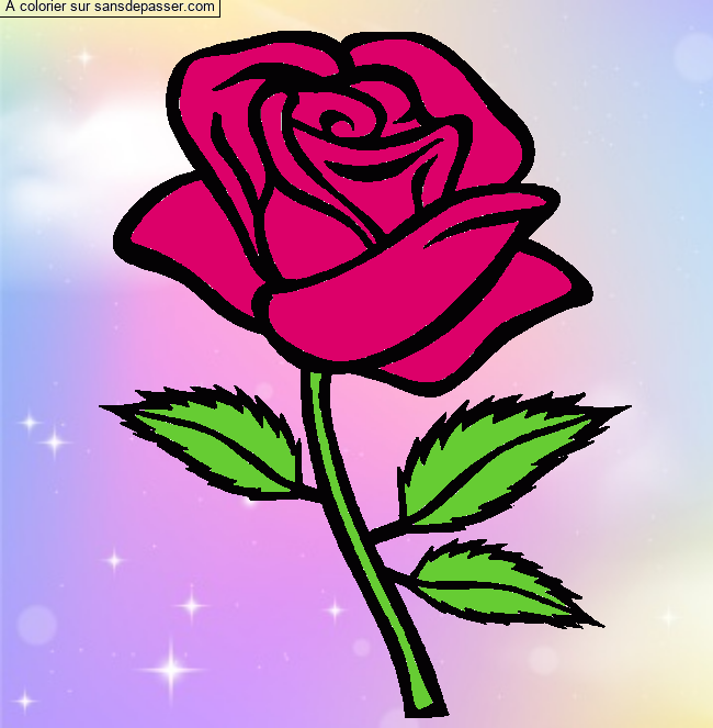 Rose rouge par un invit&eacute;
