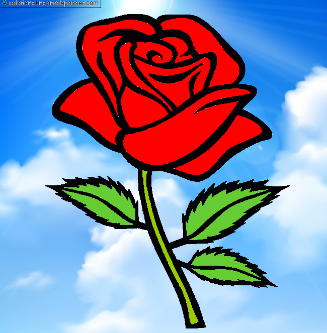 Coloriage Rose rouge par un invité