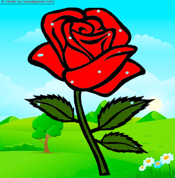 Coloriage Rose rouge par un invité
