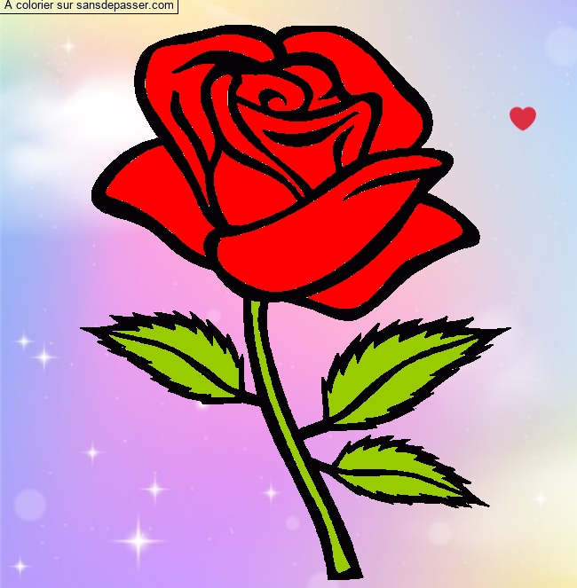 Rose rouge par un invit&eacute;