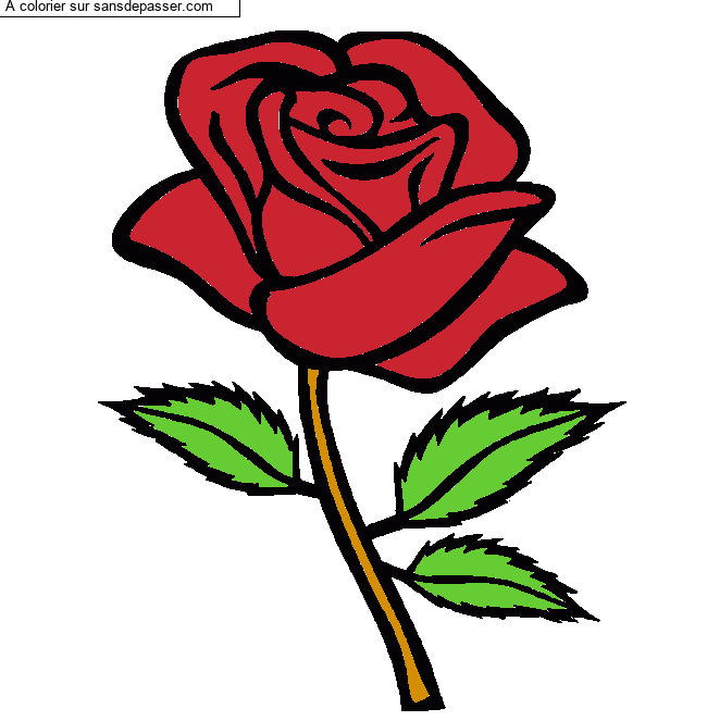 Rose rouge par un invit&eacute;