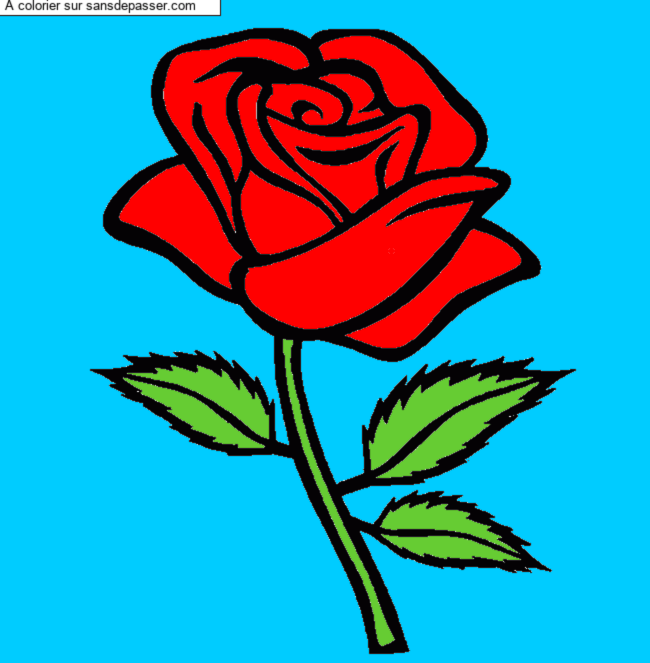 Rose rouge par un invit&eacute;