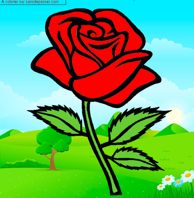 Rose rouge par un invit&eacute;
