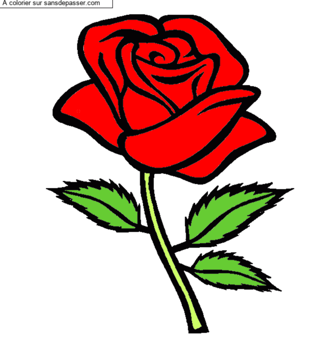 Rose rouge par un invit&eacute;