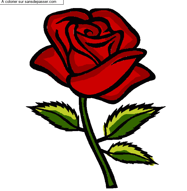 Rose rouge par un invit&eacute;